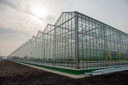 Тепличный комплекс "Дальневосточные теплицы" в Михайловском районе Приморского края ТОР "Михайловский"