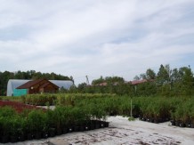 АПС/АПТ "Заокские питомники растений"