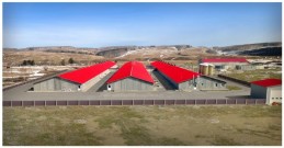 Агрохолдинг Сангилен +